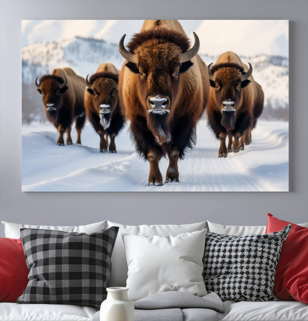 Cow Bighorn Wall Art Canvas Print, Longhorn Texas Large Cow Animal Canvas Print