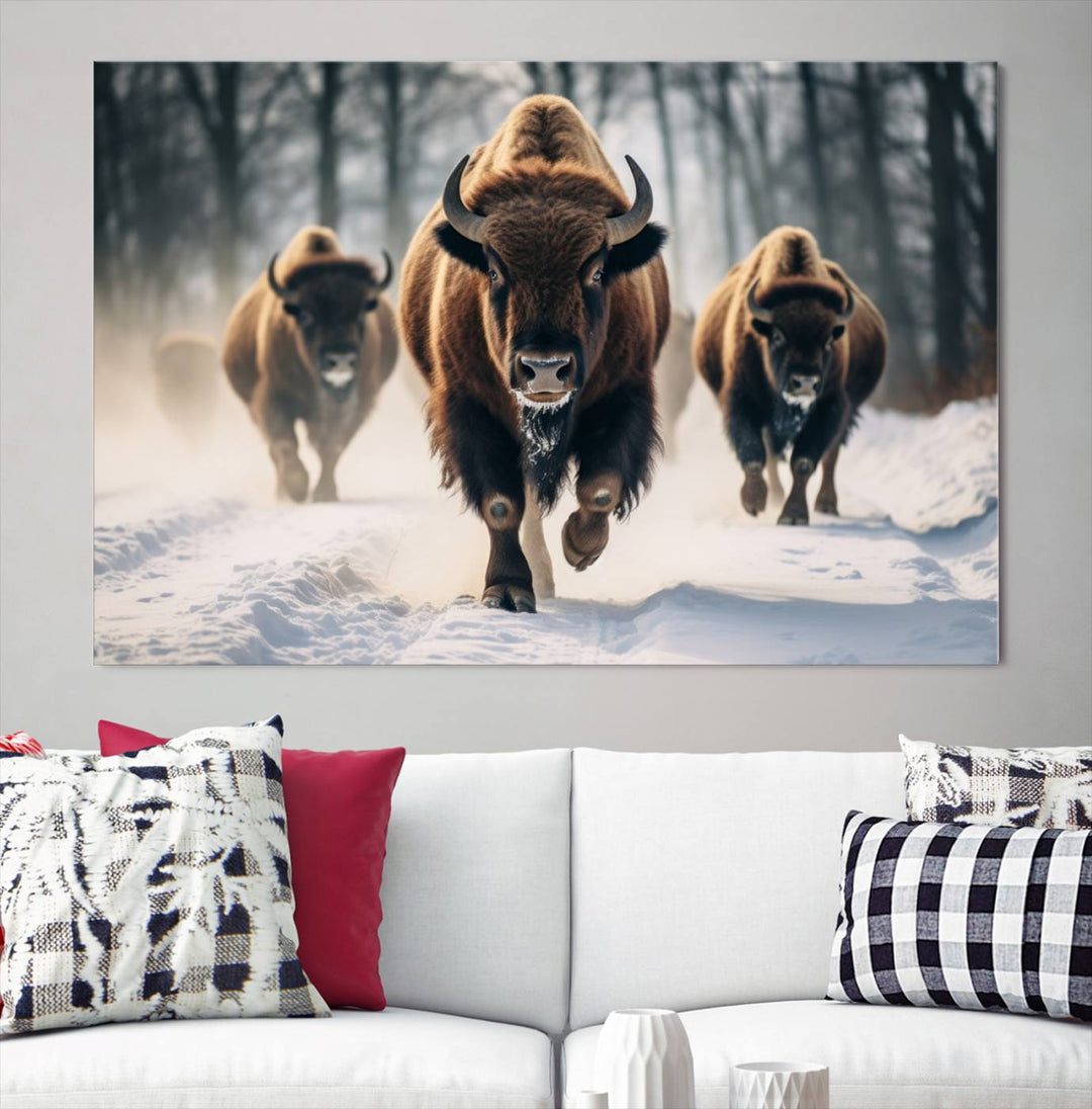 Cow Bighorn Wall Art Canvas Print, Longhorn Texas Large Cow Animal Canvas Print