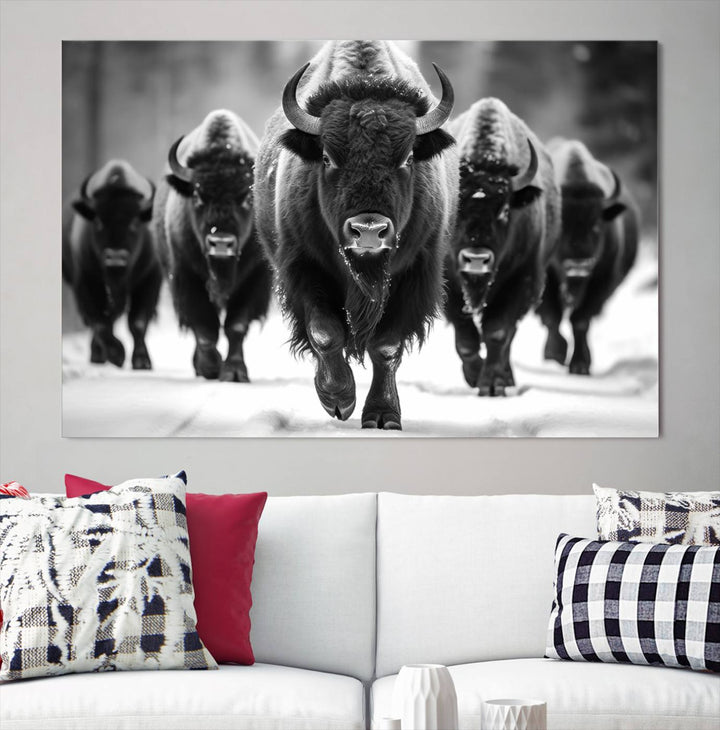 Cow Bighorn Wall Art Canvas Print, Longhorn Texas Large Cow Animal Canvas Print