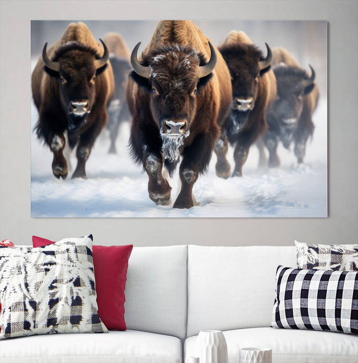 Cow Bighorn Wall Art Canvas Print, Longhorn Texas Large Cow Animal Canvas Print