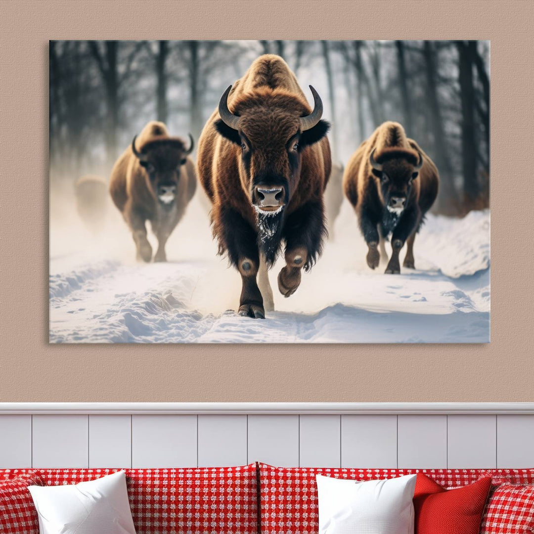 Cow Bighorn Wall Art Canvas Print, Longhorn Texas Large Cow Animal Canvas Print