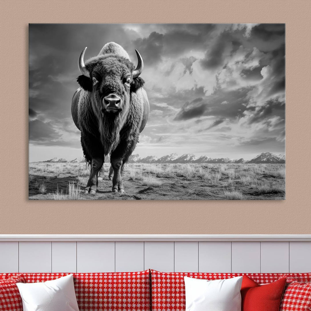 Cow Bighorn Wall Art Canvas Print, Longhorn Texas Large Cow Animal Canvas Print