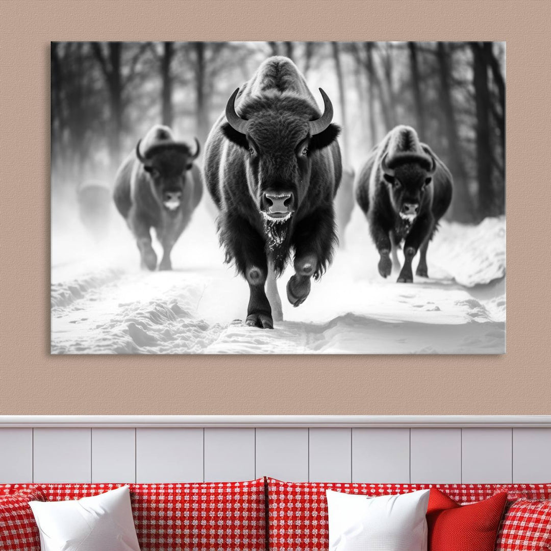 Cow Bighorn Wall Art Canvas Print, Longhorn Texas Large Cow Animal Canvas Print