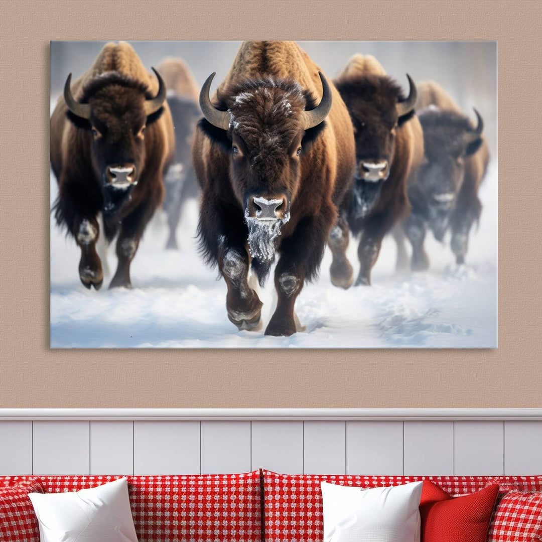 Cow Bighorn Wall Art Canvas Print, Longhorn Texas Large Cow Animal Canvas Print