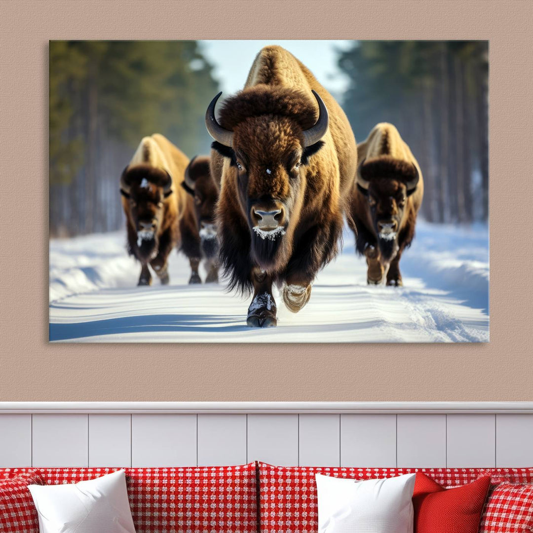 Cow Bighorn Wall Art Canvas Print, Longhorn Texas Large Cow Animal Canvas Print