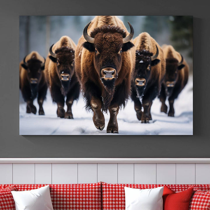 Cow Bighorn Wall Art Canvas Print, Longhorn Texas Large Cow Animal Canvas Print