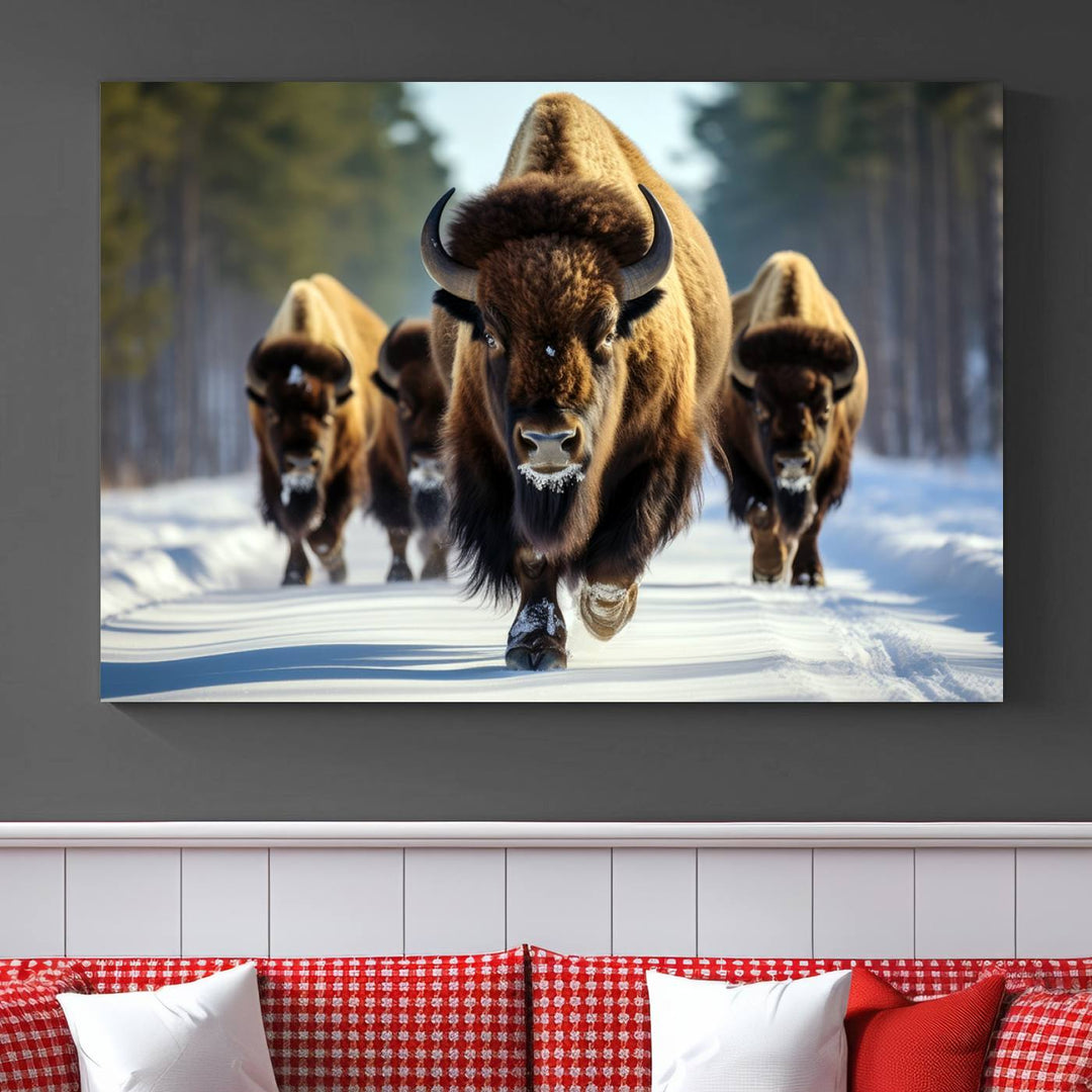 Cow Bighorn Wall Art Canvas Print, Longhorn Texas Large Cow Animal Canvas Print