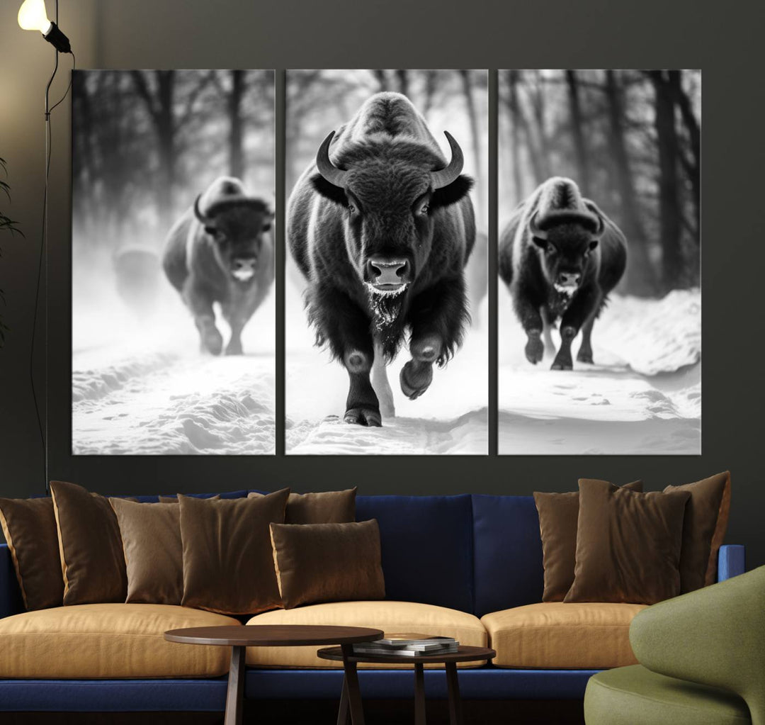 Cow Bighorn Wall Art Canvas Print, Longhorn Texas Large Cow Animal Canvas Print