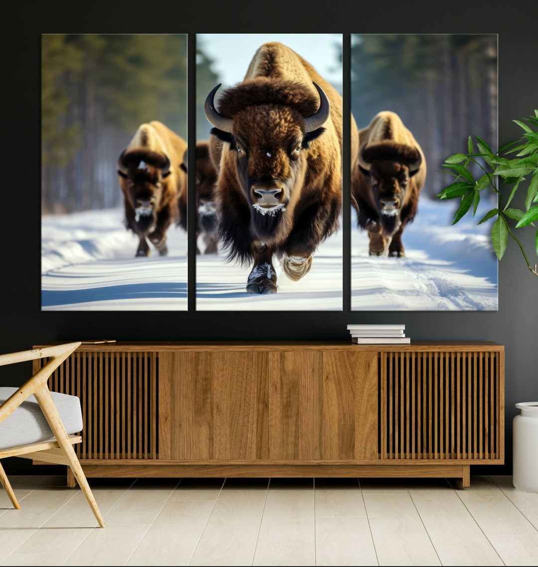 Cow Bighorn Wall Art Canvas Print, Longhorn Texas Large Cow Animal Canvas Print