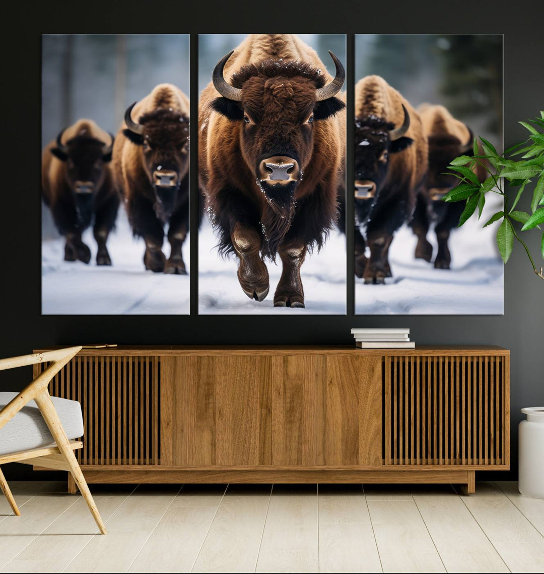 Cow Bighorn Wall Art Canvas Print, Longhorn Texas Large Cow Animal Canvas Print