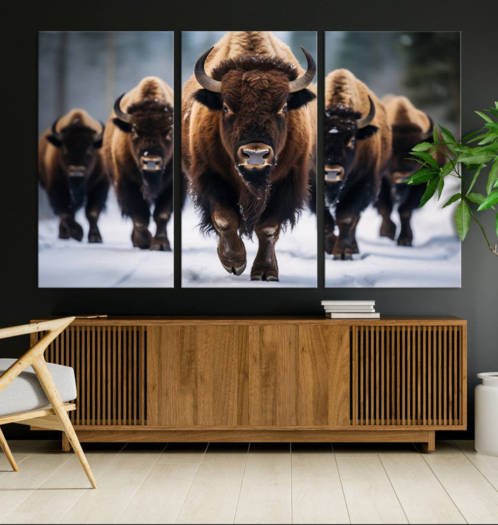 Cow Bighorn Wall Art Canvas Print, Longhorn Texas Large Cow Animal Canvas Print