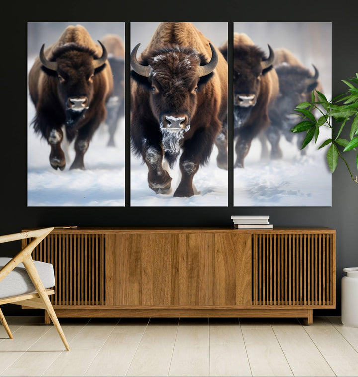 Cow Bighorn Wall Art Canvas Print, Longhorn Texas Large Cow Animal Canvas Print