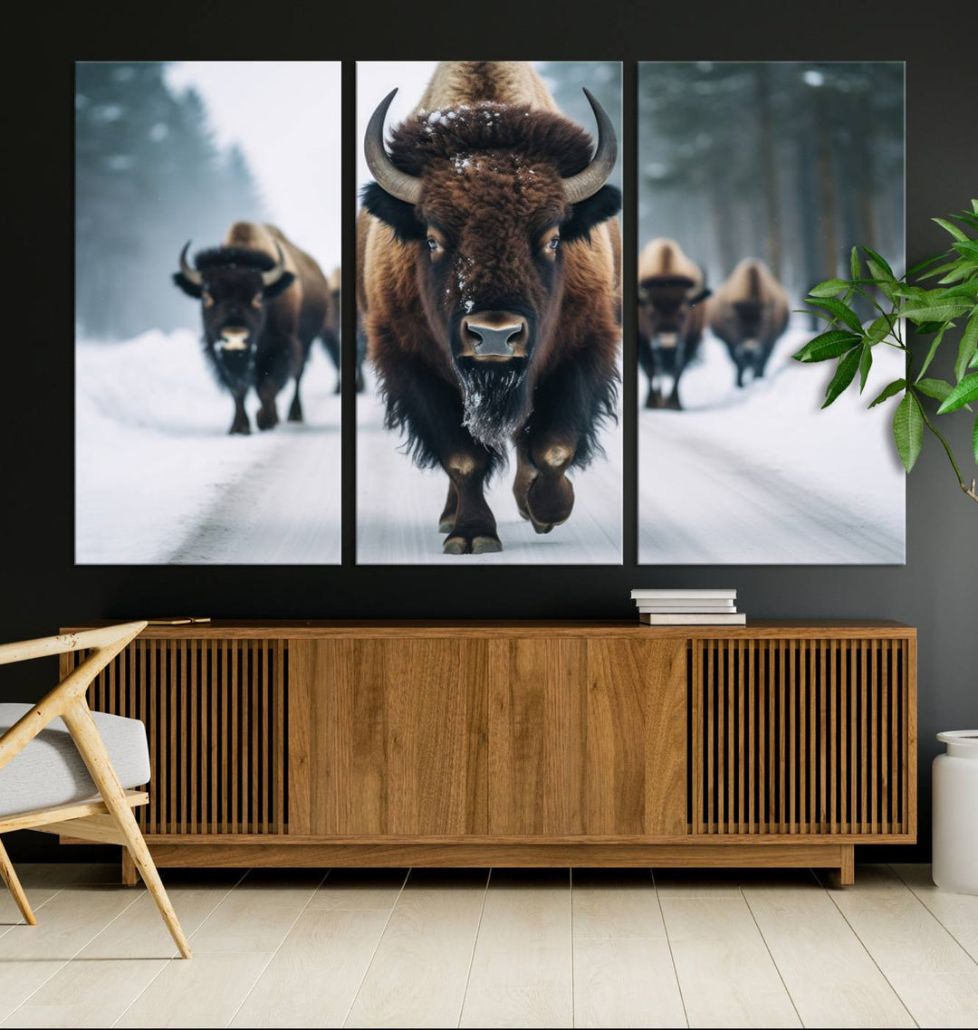 Cow Bighorn Wall Art Canvas Print, Longhorn Texas Large Cow Animal Canvas Print