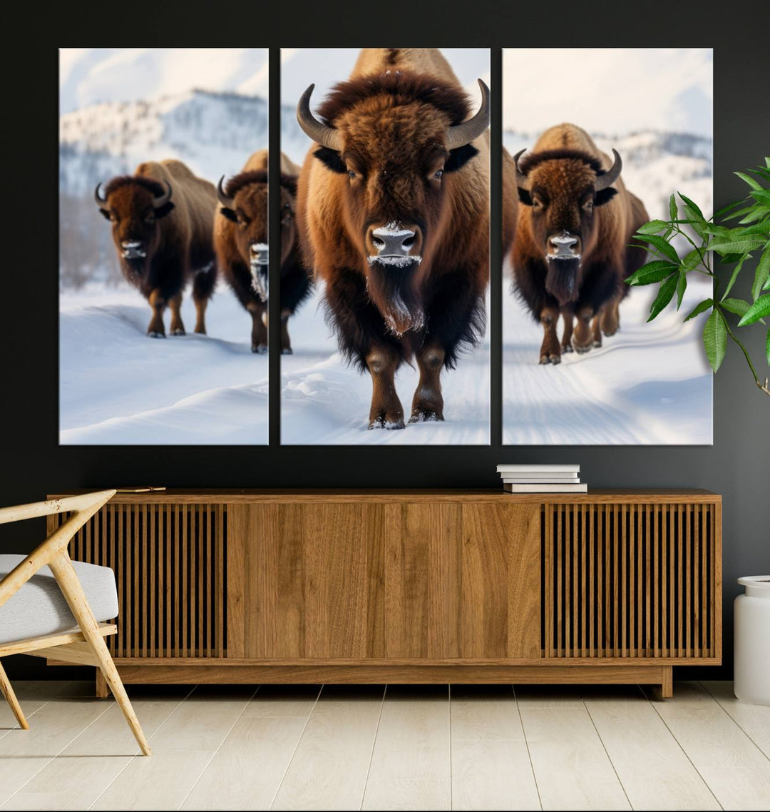 Cow Bighorn Wall Art Canvas Print, Longhorn Texas Large Cow Animal Canvas Print