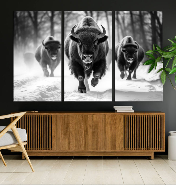 Cow Bighorn Wall Art Canvas Print, Longhorn Texas Large Cow Animal Canvas Print