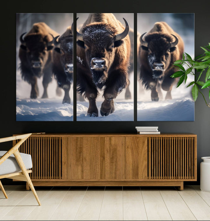 Cow Bighorn Wall Art Canvas Print, Longhorn Texas Large Cow Animal Canvas Print