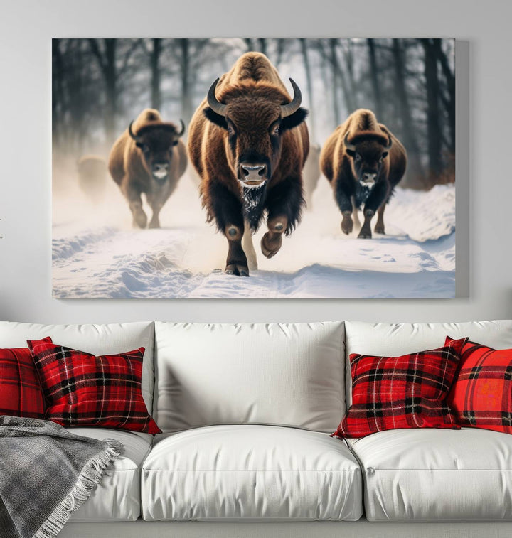 Cow Bighorn Wall Art Canvas Print, Longhorn Texas Large Cow Animal Canvas Print