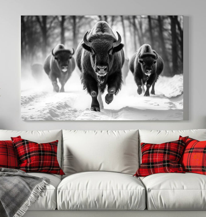 Cow Bighorn Wall Art Canvas Print, Longhorn Texas Large Cow Animal Canvas Print