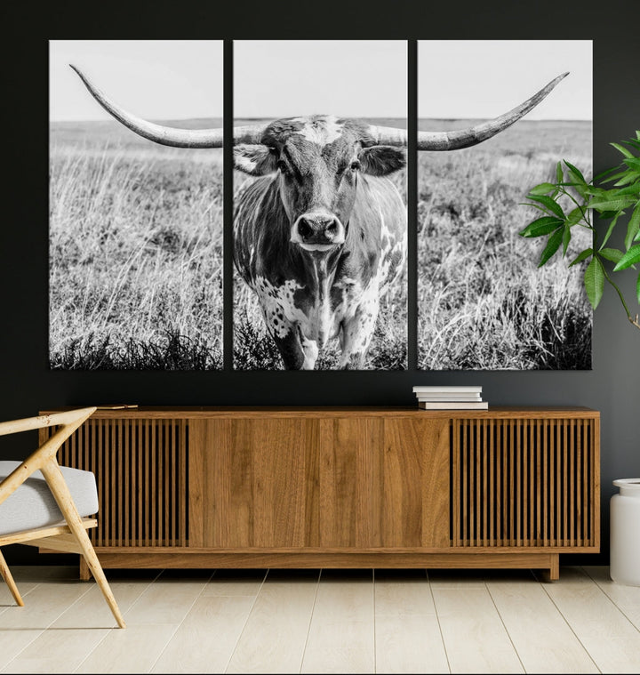 Cow Wall Art Canvas Print