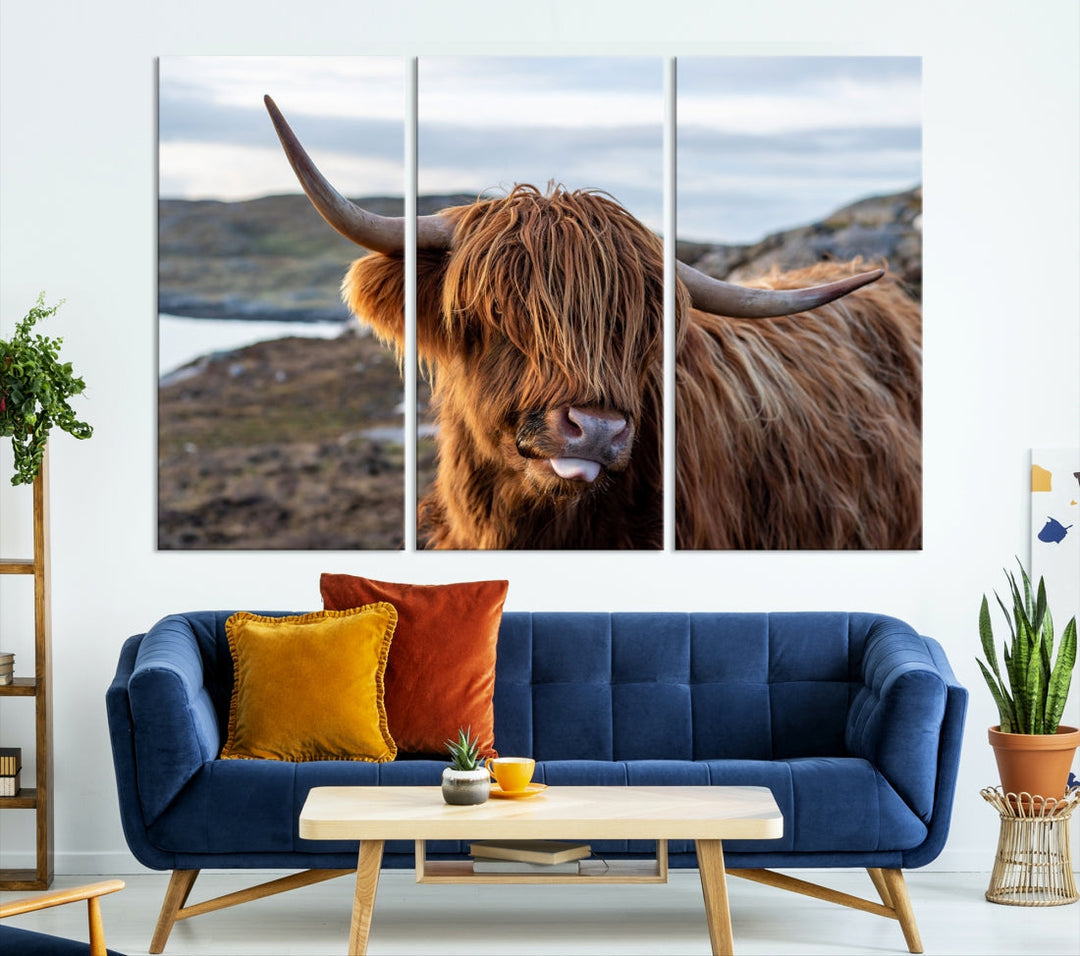 Cute Highland Cow Photo Print on Canvas Wall Art Animal Farmhouse Decor