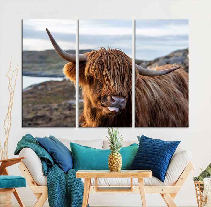 Cute Highland Cow Photo Print on Canvas Wall Art Animal Farmhouse Decor