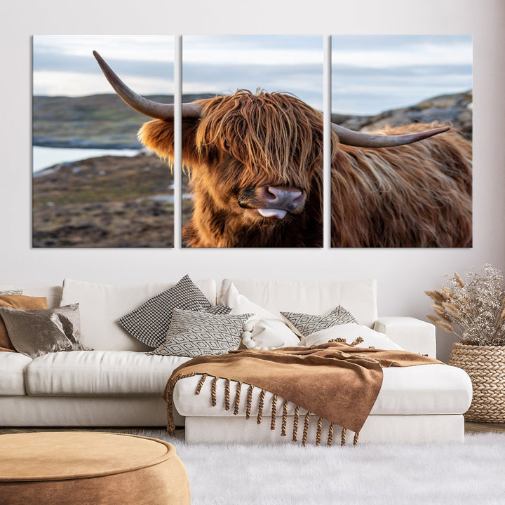 Cute Highland Cow Photo Print on Canvas Wall Art Animal Farmhouse Decor