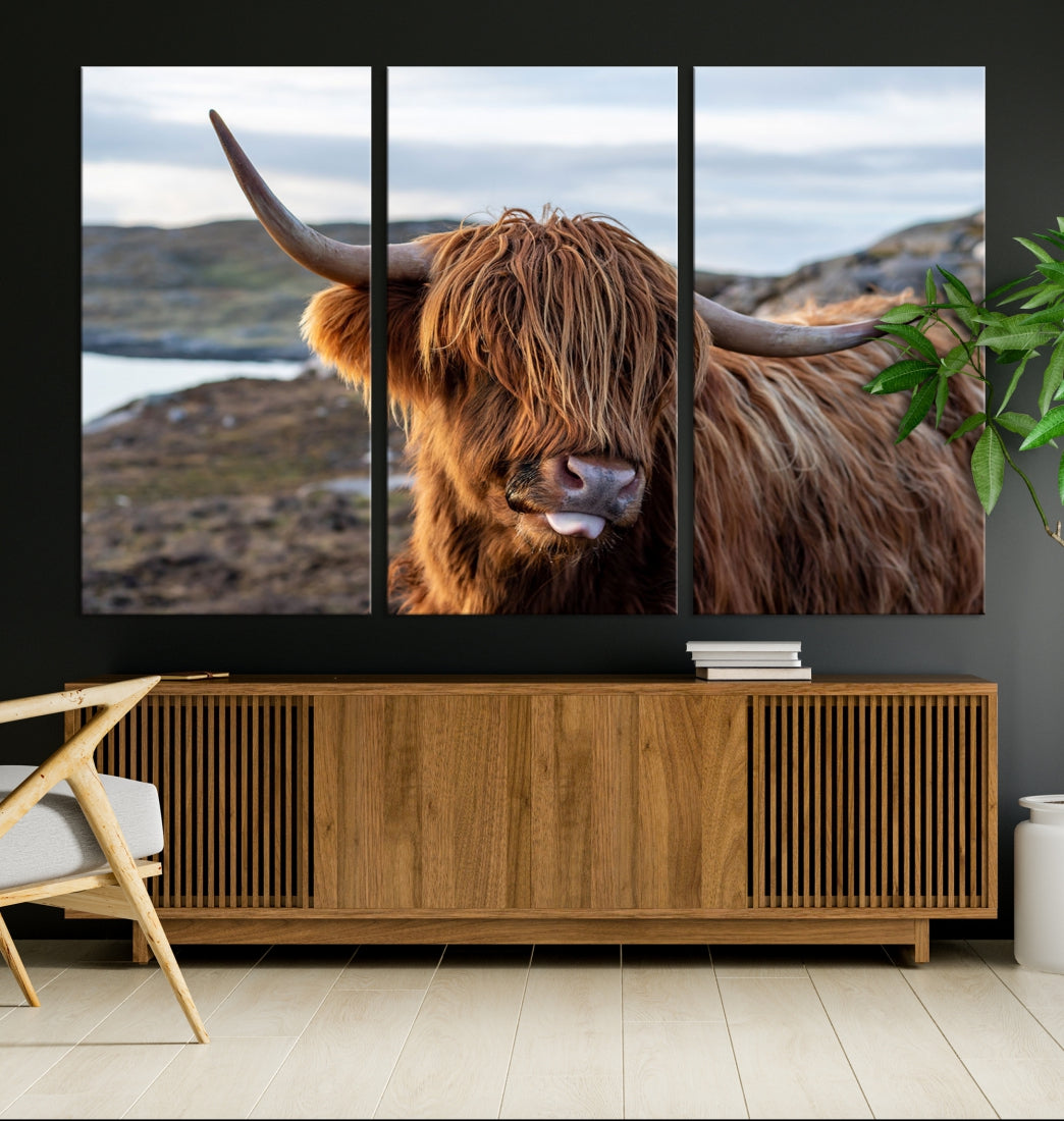 Cute Highland Cow Photo Print on Canvas Wall Art Animal Farmhouse Decor