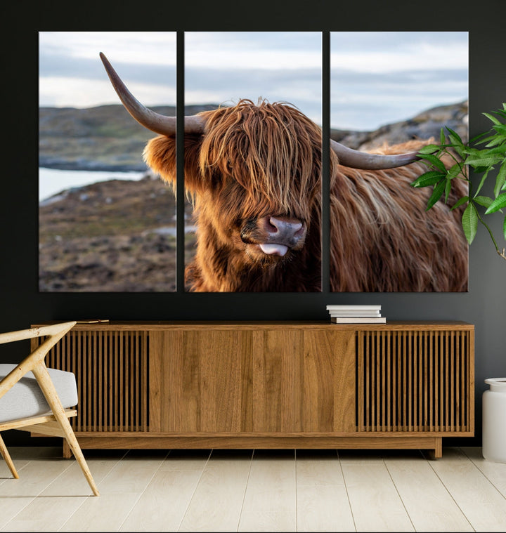 Cute Highland Cow Photo Print on Canvas Wall Art Animal Farmhouse Decor