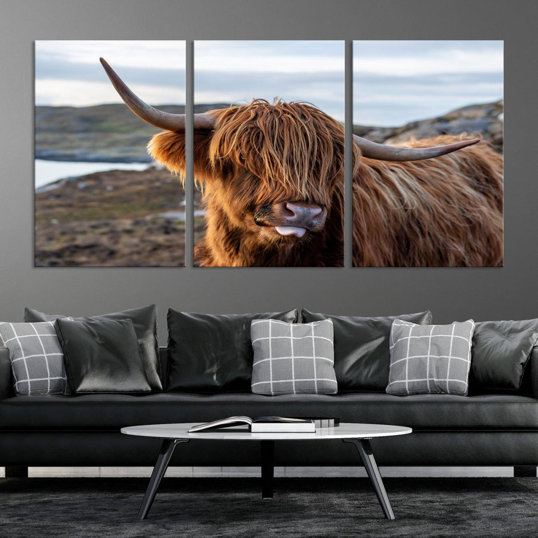 Cute Highland Cow Photo Print on Canvas Wall Art Animal Farmhouse Decor