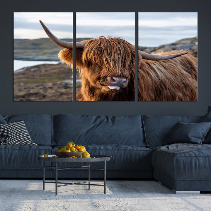 Cute Highland Cow Photo Print on Canvas Wall Art Animal Farmhouse Decor