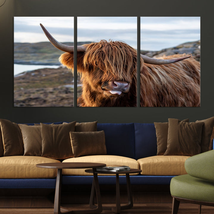 Cute Highland Cow Photo Print on Canvas Wall Art Animal Farmhouse Decor