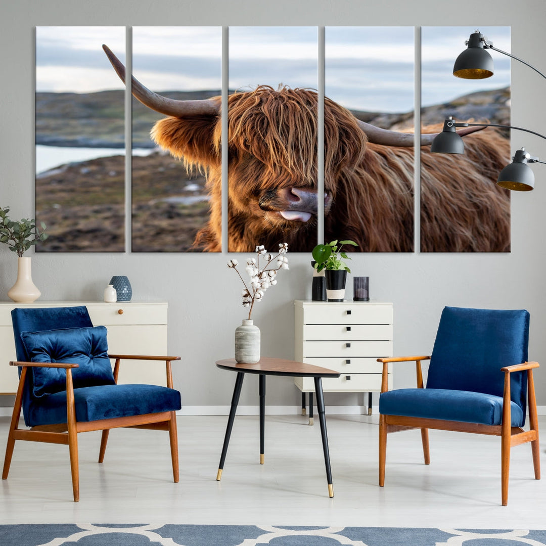 Cute Highland Cow Photo Print on Canvas Wall Art Animal Farmhouse Decor