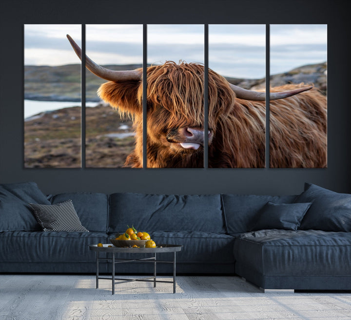 Cute Highland Cow Photo Print on Canvas Wall Art Animal Farmhouse Decor