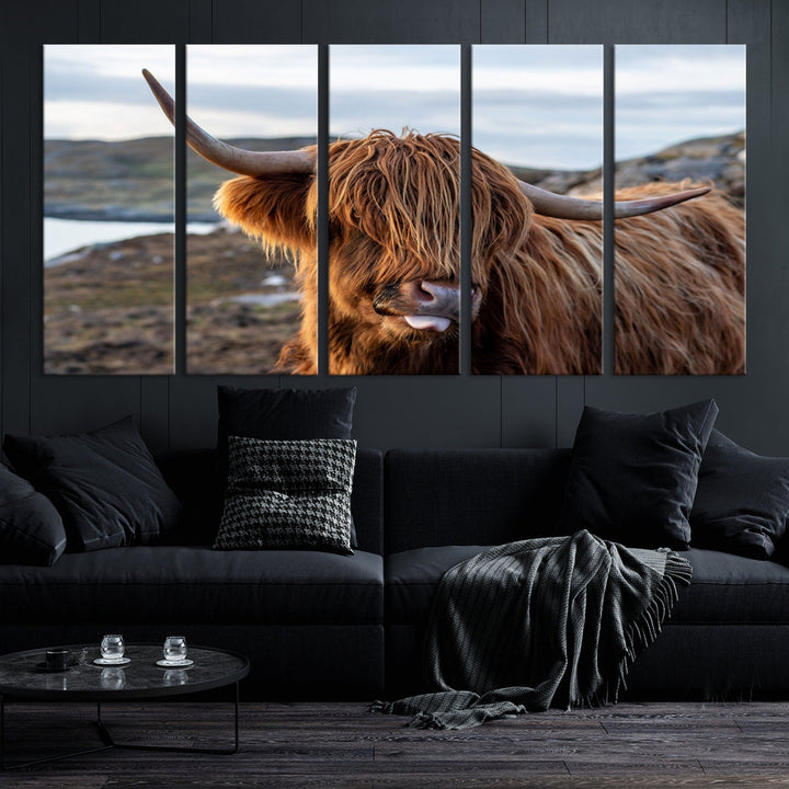 Cute Highland Cow Photo Print on Canvas Wall Art Animal Farmhouse Decor