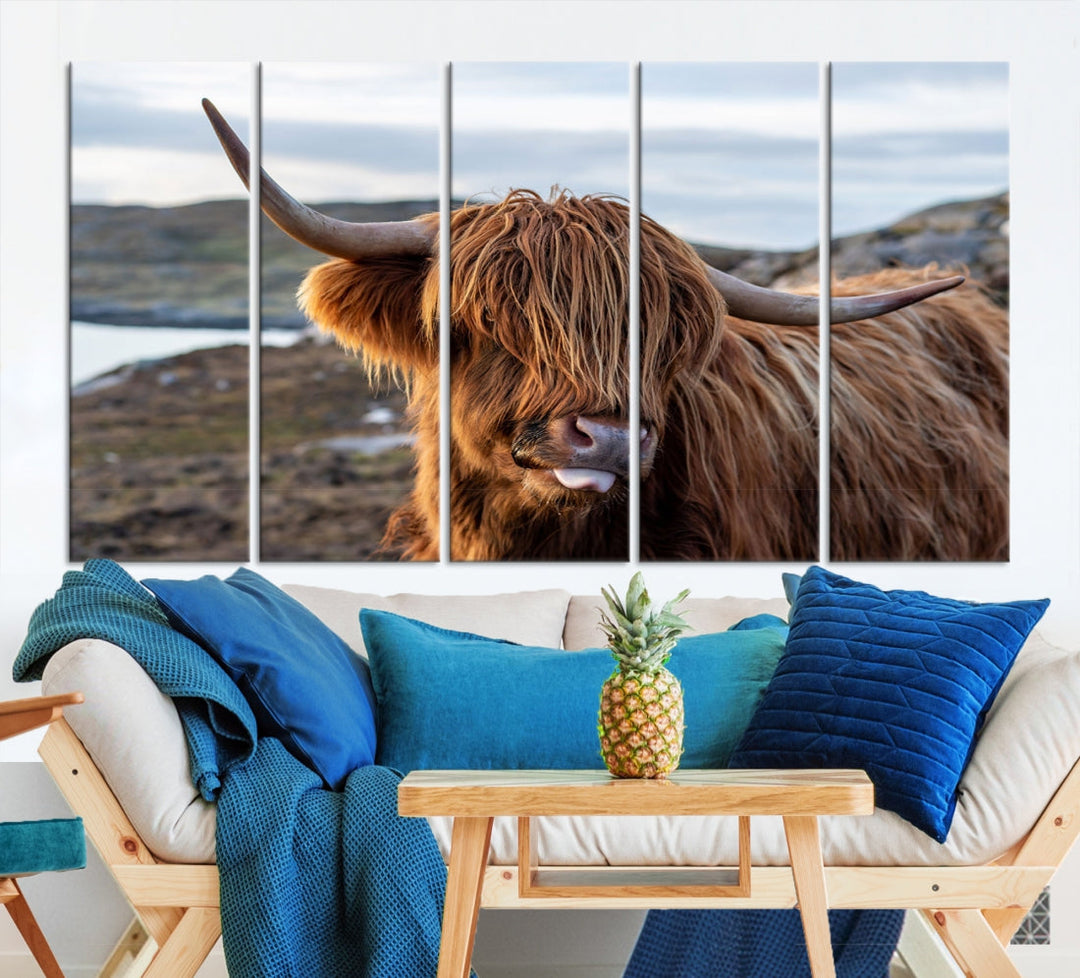 Cute Highland Cow Photo Print on Canvas Wall Art Animal Farmhouse Decor