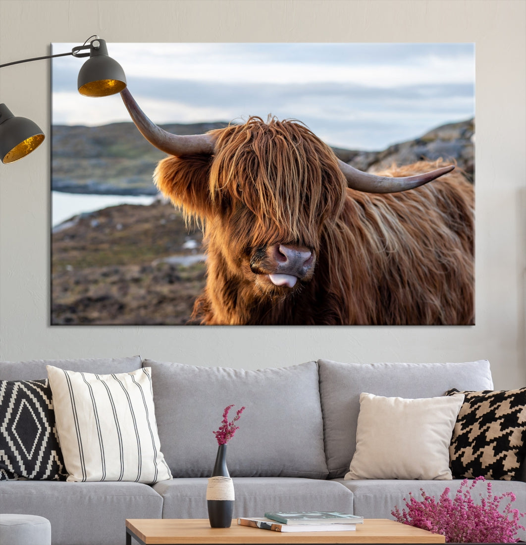 Cute Highland Cow Photo Print on Canvas Wall Art Animal Farmhouse Decor