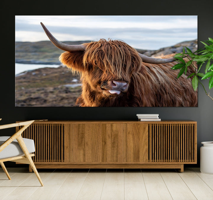 Cute Highland Cow Photo Print on Canvas Wall Art Animal Farmhouse Decor