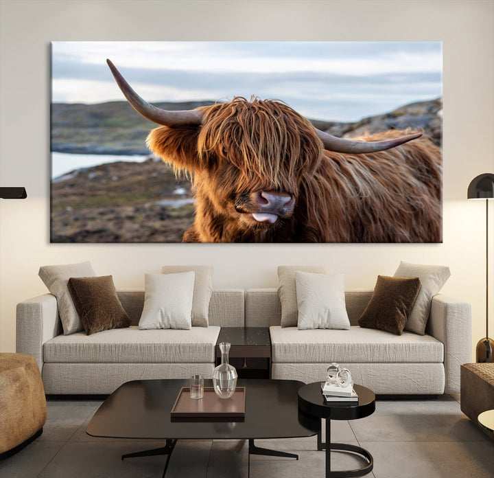 Cute Highland Cow Photo Print on Canvas Wall Art Animal Farmhouse Decor