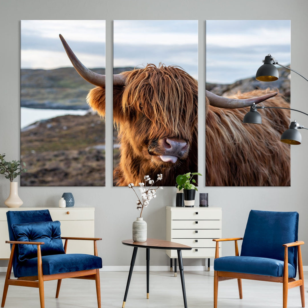 Cute Highland Cow Photo Print on Canvas Wall Art Animal Farmhouse Decor