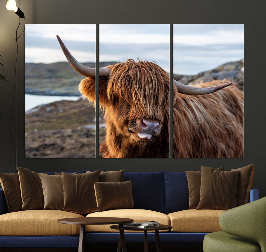 Cute Highland Cow Photo Print on Canvas Wall Art Animal Farmhouse Decor