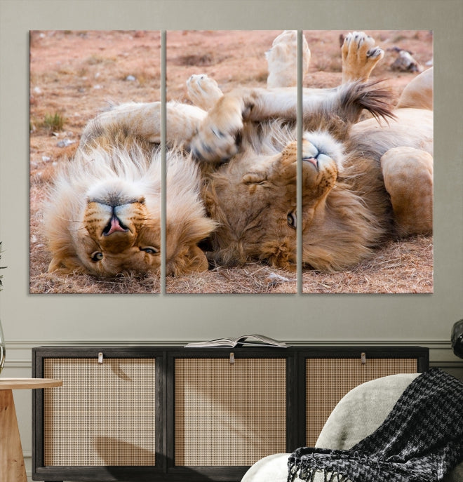 Cute Lions on Africa Savannah Framed Canvas Wall Art Giclee Print