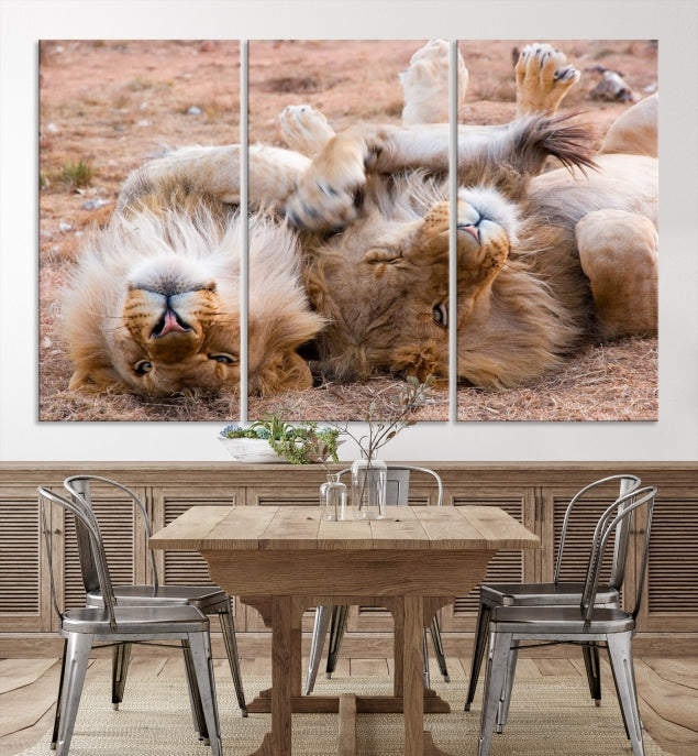 Cute Lions on Africa Savannah Framed Canvas Wall Art Giclee Print