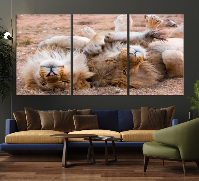 Cute Lions on Africa Savannah Framed Canvas Wall Art Giclee Print