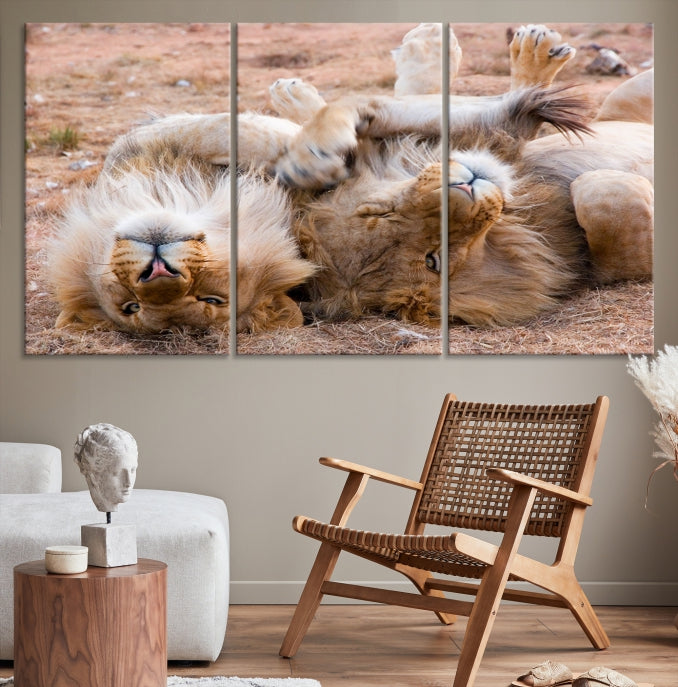 Cute Lions on Africa Savannah Framed Canvas Wall Art Giclee Print