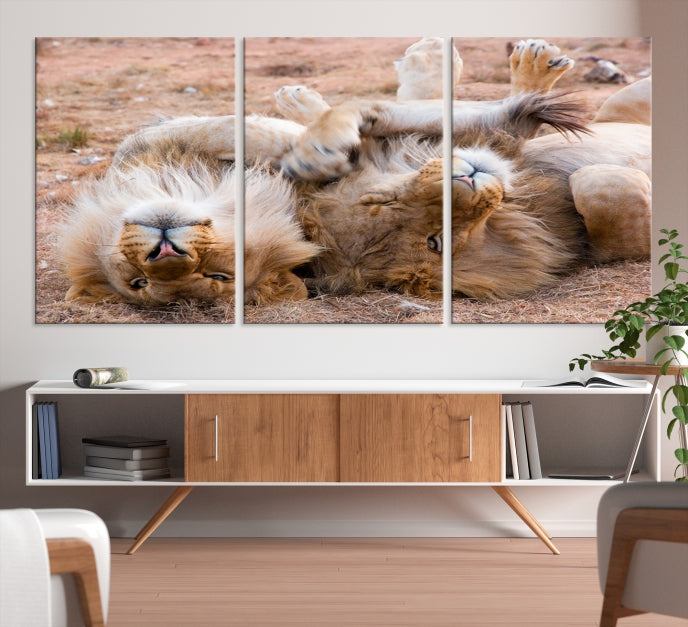 Cute Lions on Africa Savannah Framed Canvas Wall Art Giclee Print