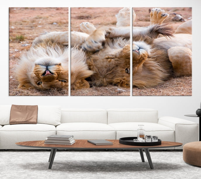 Cute Lions on Africa Savannah Framed Canvas Wall Art Giclee Print