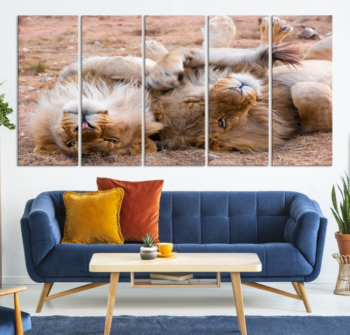 Cute Lions on Africa Savannah Framed Canvas Wall Art Giclee Print