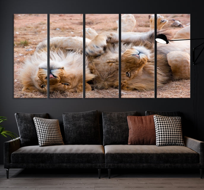 Cute Lions on Africa Savannah Framed Canvas Wall Art Giclee Print