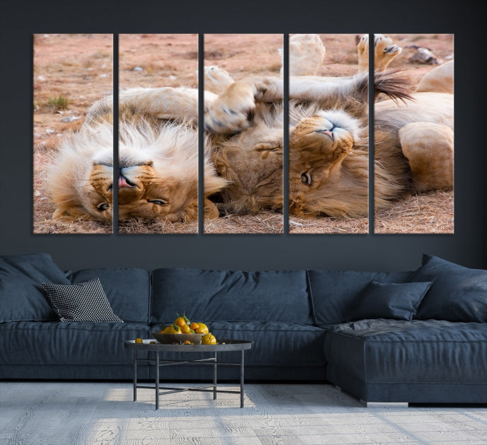 Cute Lions on Africa Savannah Framed Canvas Wall Art Giclee Print