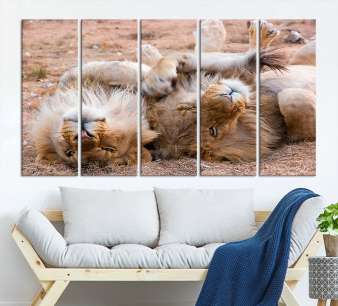 Cute Lions on Africa Savannah Framed Canvas Wall Art Giclee Print